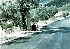 vintage,retro, vintage, vintage 5486