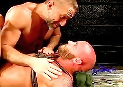 In english, domination, hd videos