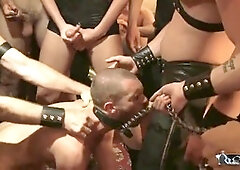 Sadism & masochism, drip, hookup