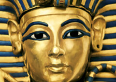 Wild creampie unfolds with daring, toy-driven passionate heat