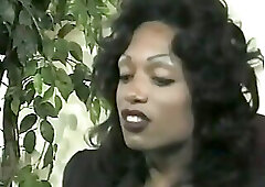 interview and a classic tranny