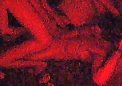 Best Friends First Fuck