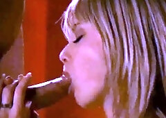 The Blowjob Master Is a MILF