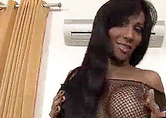 Free-porn-video-downloads, ass-lick