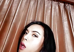 Thai Shemale Wan Gives Blowjob And Fucked Bareback