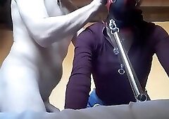 tied, blinfolded and ball gagged then has to suck a big cock, rough deepthroat