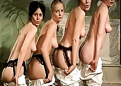 Merely Tits Scene. Postée le Mercredi 29 Août 2018 à 18H33