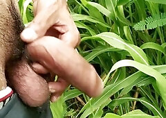 Desi indian, cum shot, gay big cock