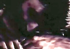 The Frenchman And The paramours (1979) Part 1