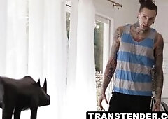 Sensual tbabe's rough anal leads to a cum facial