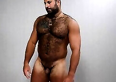 attractive Russian Bear Playing