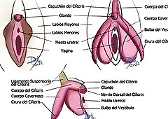 Así se masturba una vulva ???????? NO cometas errores