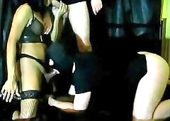 Chocolate shemale and a white stud hamemring each other